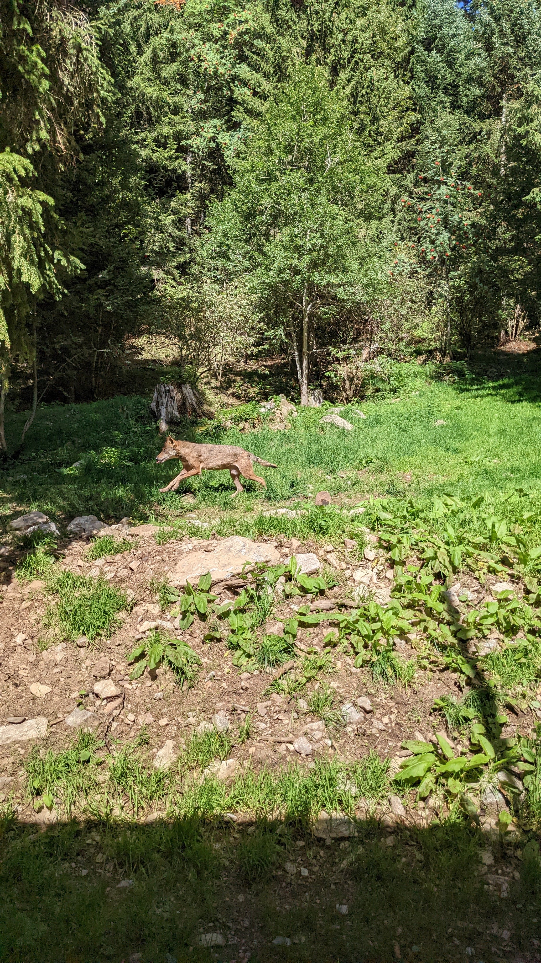 Photo n° 29 de l'avis de Florian.o fait le 11/09/2022 à 15:52