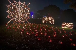 The Great Jack O'Lantern Blaze: Long Island image