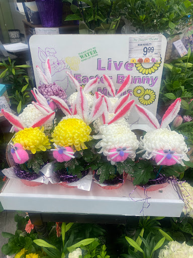 Craft Store «Michaels», reviews and photos, 37 White St, Cambridge, MA 02140, USA