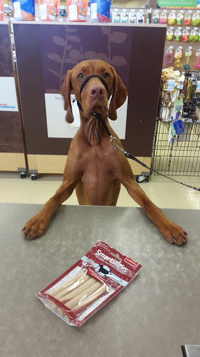 Pet Supply Store «Petco Animal Supplies», reviews and photos, 8404 Eager Rd b, Brentwood, MO 63144, USA