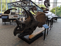 Maryland Science Center - Photo 9 - Car repair in Baltimore, MD, Baltimore