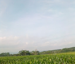 Pakel Lor photo