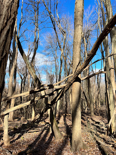 Park «Perrineville Lake Park», reviews and photos, 143 Baird Rd, Millstone, NJ 07726, USA