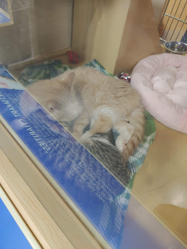 Pet Supply Store «PetSmart», reviews and photos, 100 108th Ave NE, Bellevue, WA 98004, USA