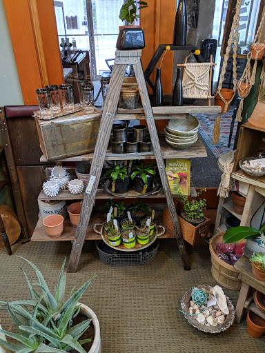 Florist «Thistle Floral & Home», reviews and photos, 25960 Central Ave NE, Kingston, WA 98346, USA