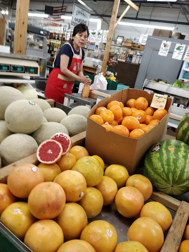 Shopping Mall «Shillington Shopping Center», reviews and photos, 502 E Lancaster Ave, Reading, PA 19607, USA