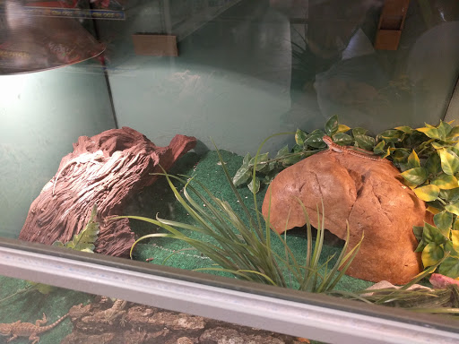 Pet Store «Pet World - Auburndale», reviews and photos, 3637 Havendale Blvd, Auburndale, FL 33823, USA