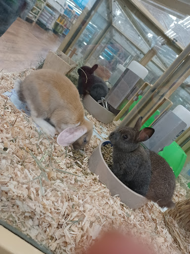 Pet Supply Store «Pet Supermarket», reviews and photos, 3821 S Cobb Dr, Smyrna, GA 30080, USA