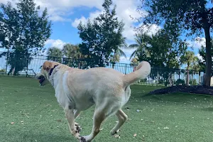 Dog Park - Margaret Pace Park image