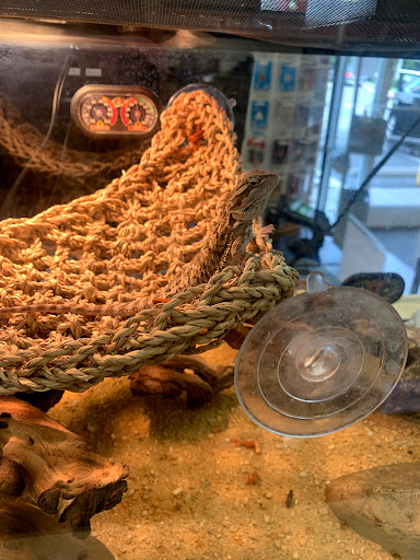 Pet Supply Store «Petsense Clemmons», reviews and photos, 4186 Clemmons Rd, Clemmons, NC 78012, USA