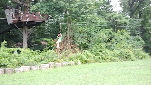 Treehouse World - photo 89