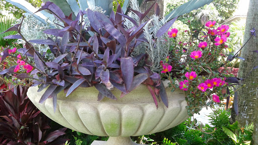 History Museum «Henry Morrison Flagler Museum», reviews and photos, 1 Whitehall Way, Palm Beach, FL 33480, USA