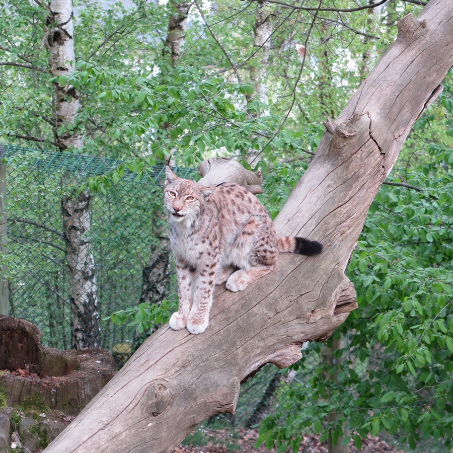 Photo n° 4 de l'avis de JooHee.A fait le 23/08/2018 à 13:16