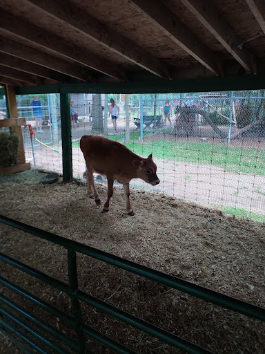 Zoo «Wilderness Trails Zoo», reviews and photos, 11721 Gera Rd, Birch Run, MI 48415, USA