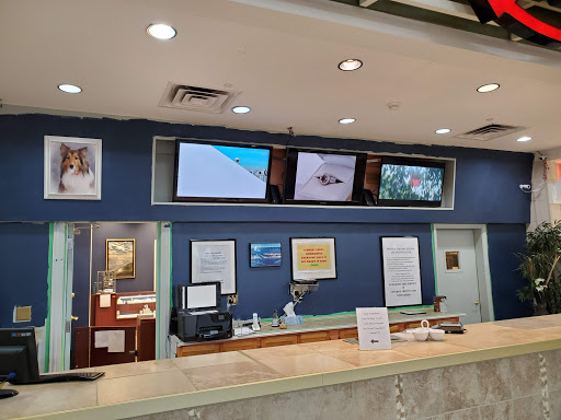 Shopping Mall «The Lakes Mall», reviews and photos, 5600 Harvey St, Muskegon, MI 49444, USA