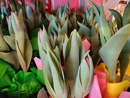 Supermarket «ALDI», reviews and photos, 5512 SE 14th St, Des Moines, IA 50320, USA