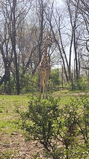 Park «Bronx zoo Park lot», reviews and photos, 2152 Crotona Pkwy, Bronx, NY 10460, USA