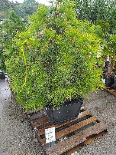 Home Improvement Store «The Home Depot», reviews and photos, 102 Aldi Dr, North Versailles, PA 15137, USA