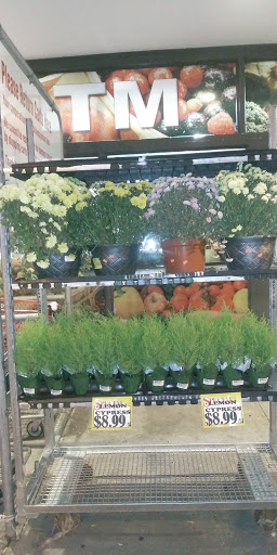 Grocery Store «C-Town Supermarkets», reviews and photos, 47 Main St, New Britain, CT 06051, USA