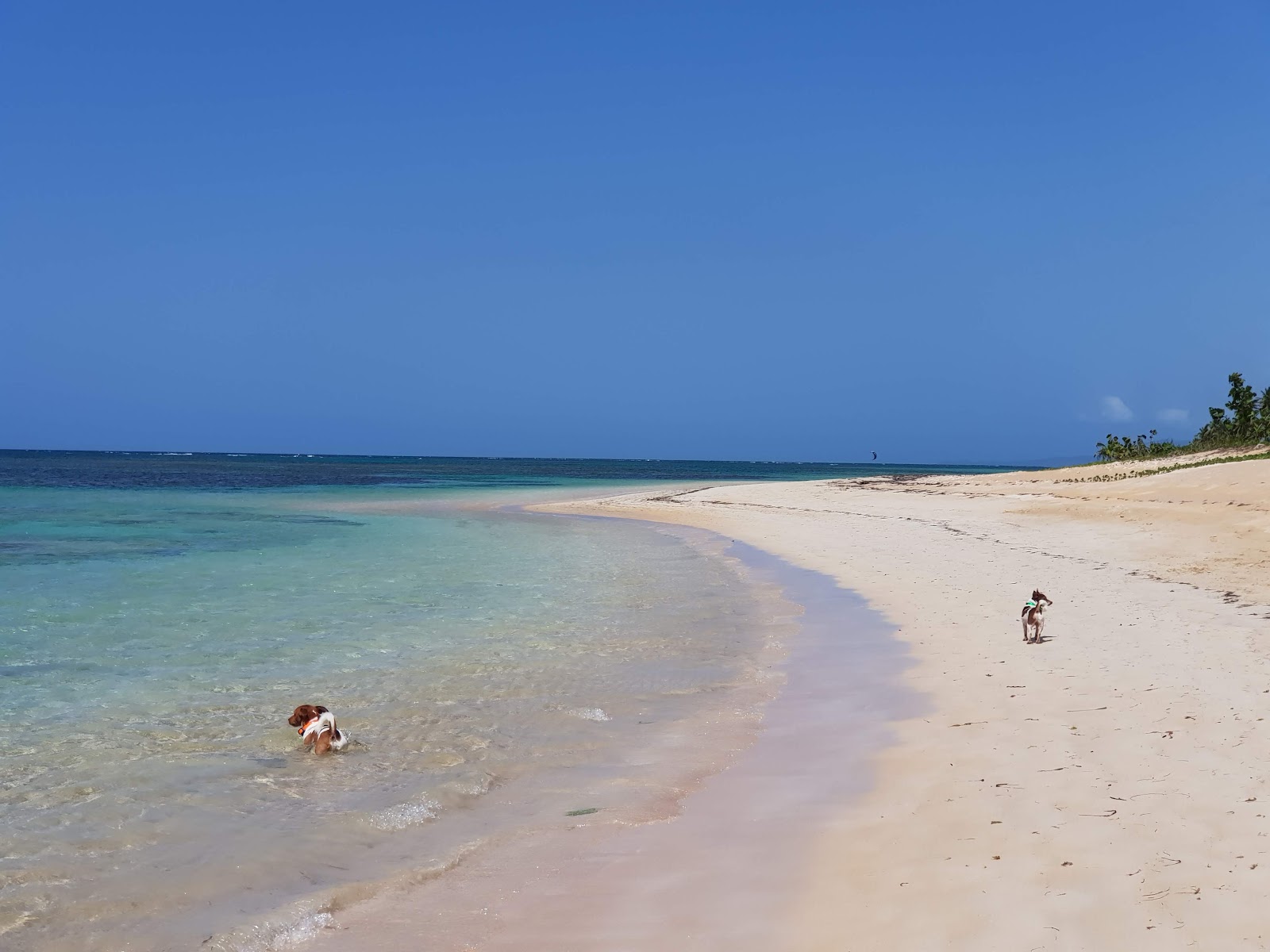 Foto de Playa El Portillo con brillante arena fina superficie