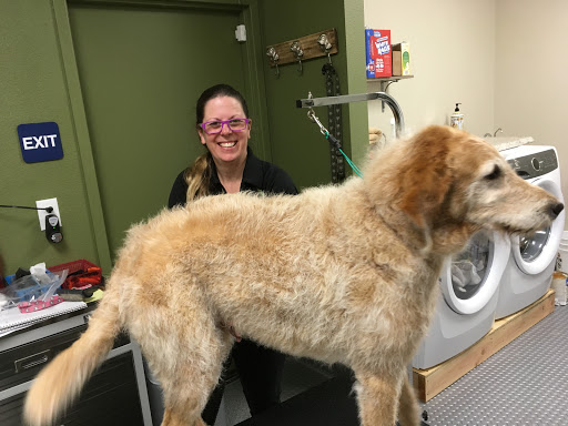 Pet groomer Carlsbad