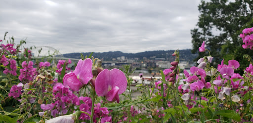 Park «Overlook Park», reviews and photos, 1599 N Fremont St, Portland, OR 97227, USA