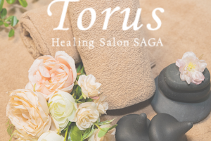 Healing Salon SAGA Torus image