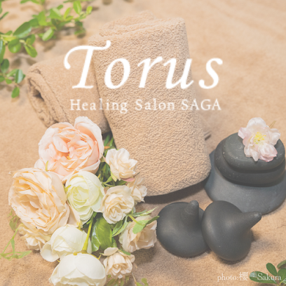 Healing Salon SAGA Torus