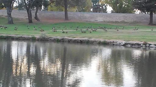 Golf Course «Van Buskirk Municipal Golf Course», reviews and photos, 1740 Houston Ave, Stockton, CA 95206, USA