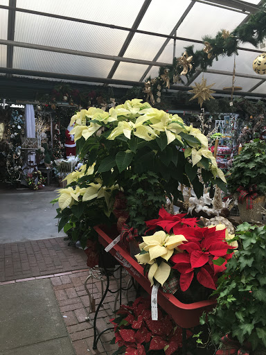 Florist «Bayport Flower Houses, Inc.», reviews and photos, 940 Montauk Hwy, Bayport, NY 11705, USA