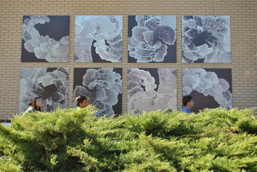 Commercial Printer «Cushing», reviews and photos, 213 W Institute Pl Suite 200, Chicago, IL 60610, USA