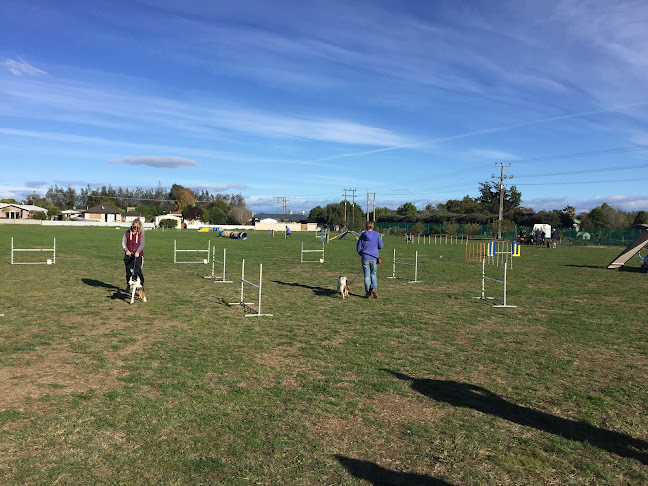Reviews of Nelson Dog Training Club in Richmond - Sports Complex