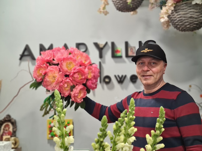 Floraria Amaryllis flowers by Misi - Florărie