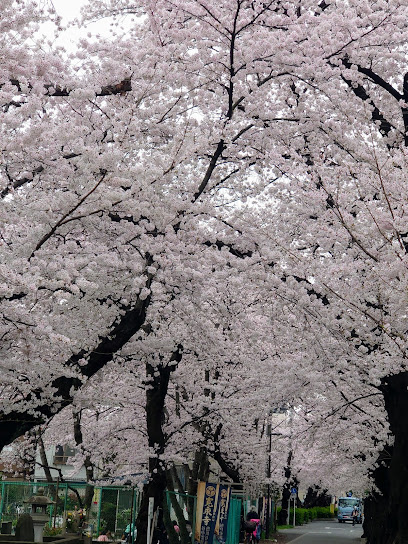 上野桜木遊び場
