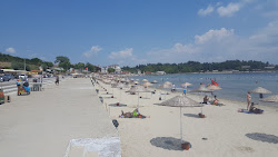 Hamzakoy beach'in fotoğrafı #43 ile birlikte