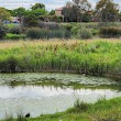 Wetlands