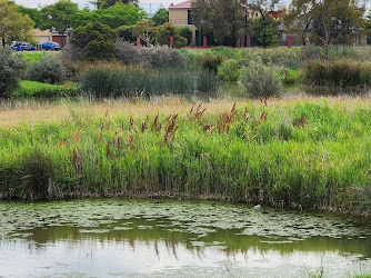 Wetlands