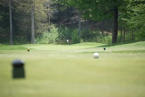 Brattleboro Country Club image