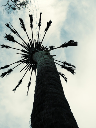 Park «Lithia Springs Park», reviews and photos, 3932 Lithia Springs Rd, Lithia, FL 33547, USA