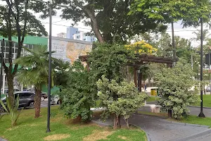 Praça Coronel Bertaso image
