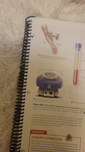 Commercial Printer «Printing Copy Center», reviews and photos, 338 State St, Perth Amboy, NJ 08861, USA