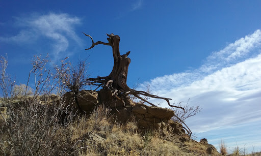 Nature Preserve «Corral Bluffs», reviews and photos, S Powers Blvd, Peyton, CO 80831, USA