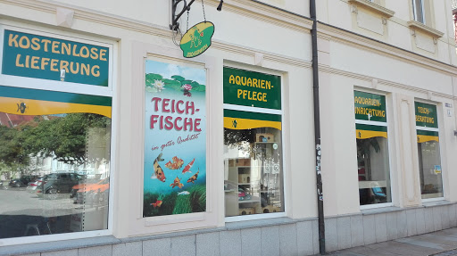 Zoo-Kunath unter Bautzen, 