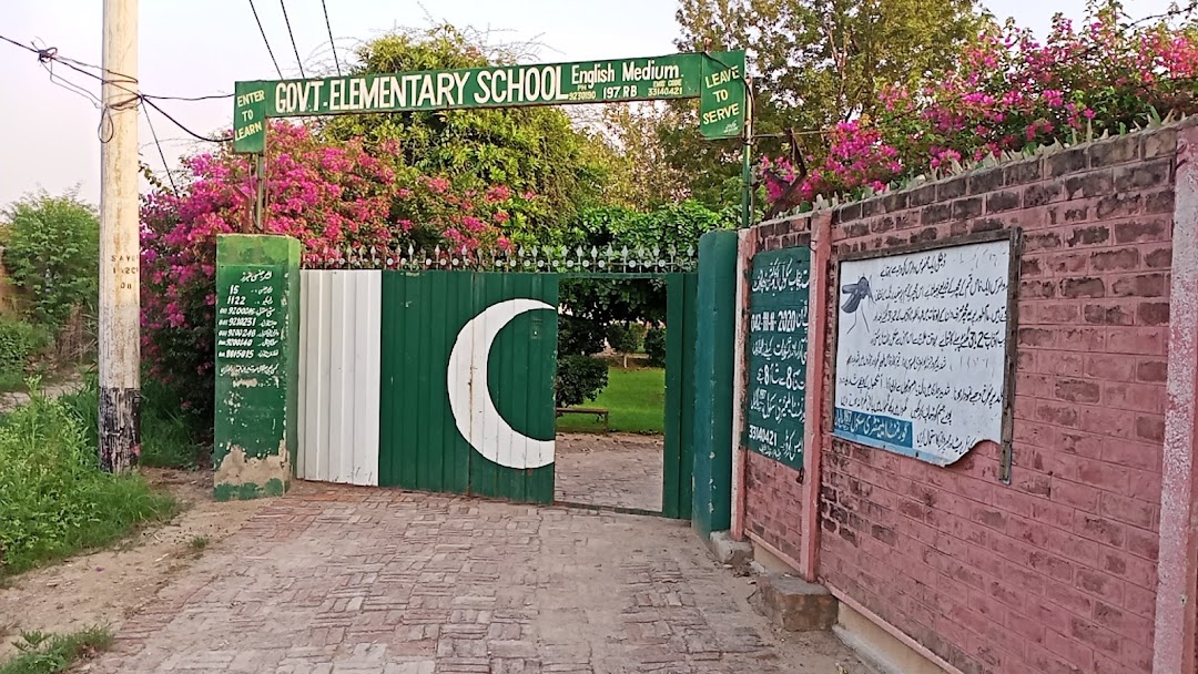 Elementry School Bagewala Faisalabad