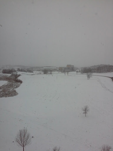 Insurance Agency «American Family Insurance - Shucheng Xu Agency», reviews and photos