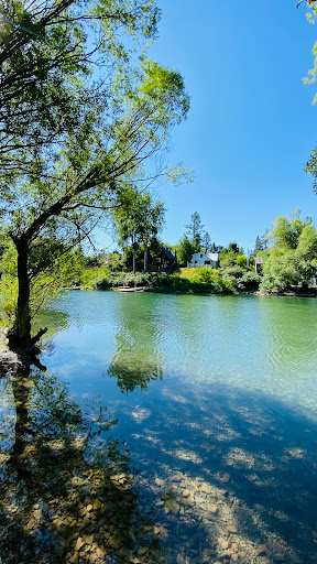 Beach «Whitefish City Beach», reviews and photos