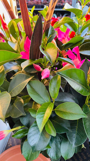 Home Improvement Store «The Home Depot», reviews and photos, 3051 E Main St, Mohegan Lake, NY 10547, USA