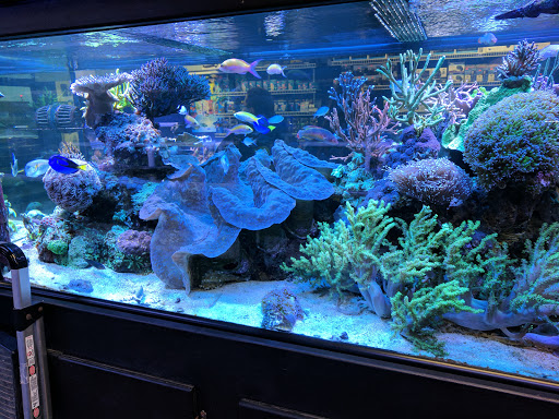 Tropical Fish Store «The Premium Aquarium», reviews and photos, 1875 25th St SE, Salem, OR 97302, USA