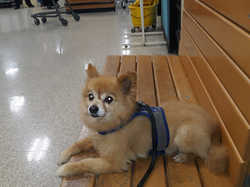 Pet Supply Store «PetSmart», reviews and photos, 5435 W TX-1604 Loop N, San Antonio, TX 78253, USA