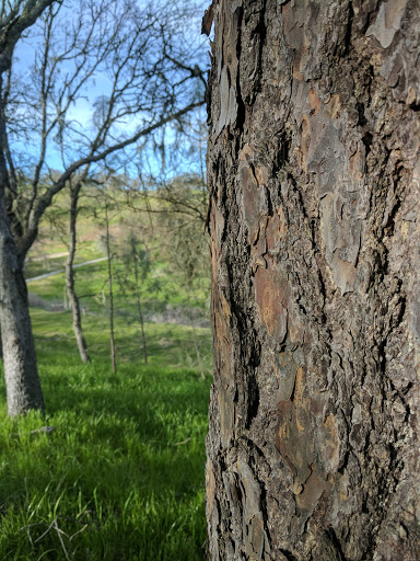 Golf Course «Chalk Mountain Golf Course», reviews and photos, 10000 El Bordo Ave, Atascadero, CA 93422, USA